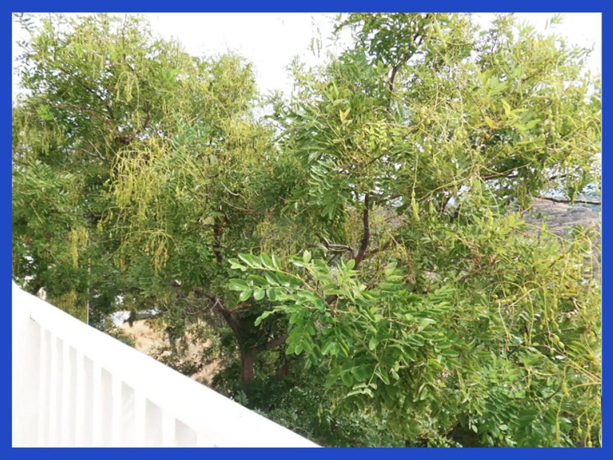 Kampos View Ikaria Apartment เอฟดิลอส ภายนอก รูปภาพ